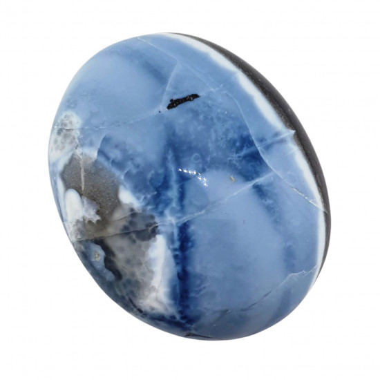 Palm stone owyhee opal