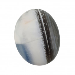 Palm stone owyhee opal