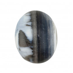 Palm stone owyhee opal