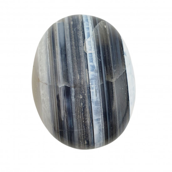 Palm stone owyhee opal