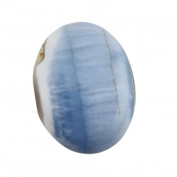 Palm stone owyhee opal