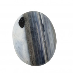 Palm stone owyhee opal