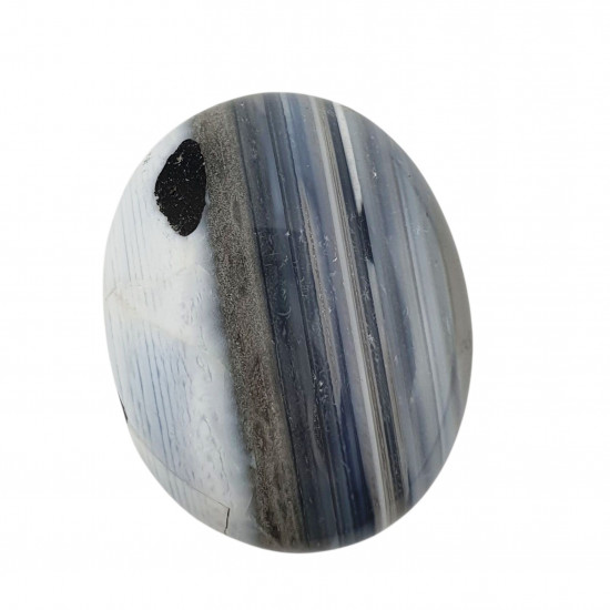 Palm stone owyhee opal