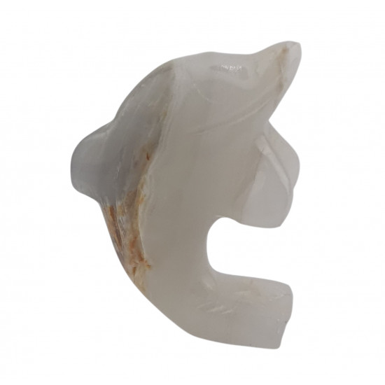 dolphin onyx