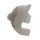 dolphin onyx