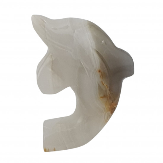 dolphin onyx