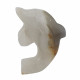 dolphin onyx