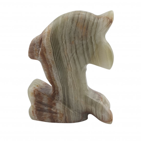 dolphin onyx