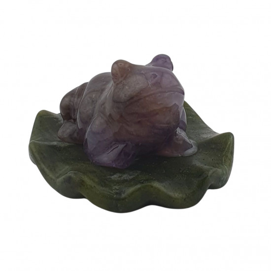 amethyst frog on water lily
