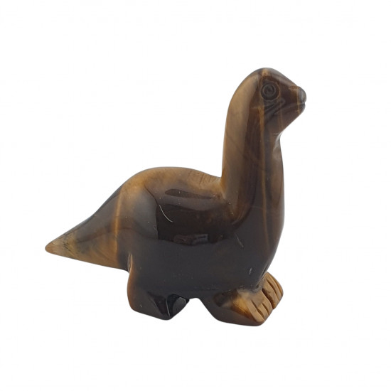 Dinosaur diplodocus tiger eye