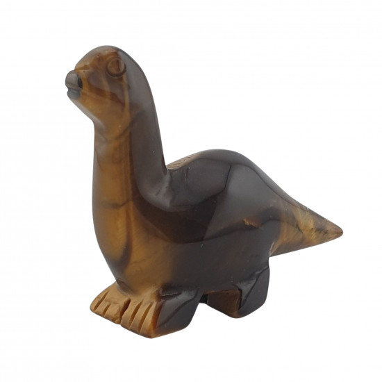 Dinosaur diplodocus tiger eye