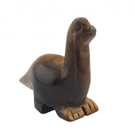 Dinosaur diplodocus tiger eye