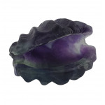 coquillage en fluorine arc en ciel