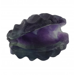 clam shell rainbow fluorite