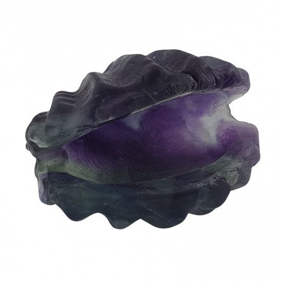 clam shell rainbow fluorite