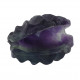 clam shell rainbow fluorite