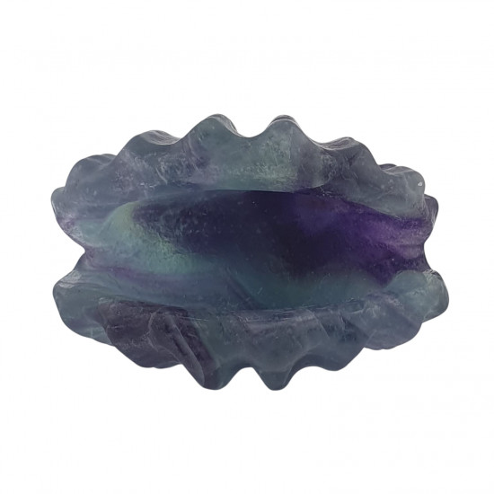 clam shell rainbow fluorite