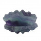 clam shell rainbow fluorite