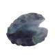 clam shell rainbow fluorite