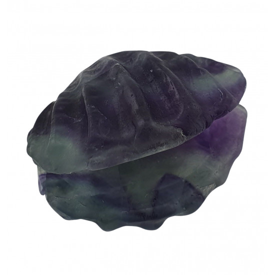 clam shell rainbow fluorite