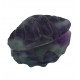 clam shell rainbow fluorite