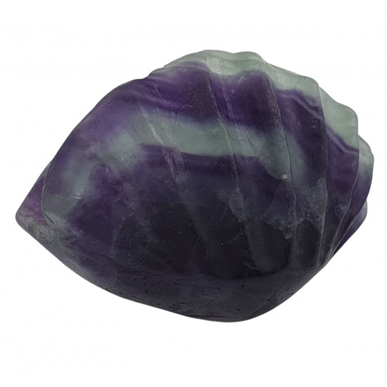 clam shell rainbow fluorite