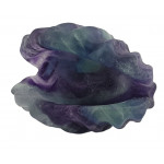 clam shell rainbow fluorite