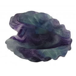 clam shell rainbow fluorite