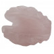 clam shell rose quartz