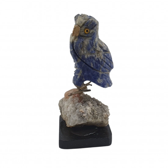 Owl bird minerals