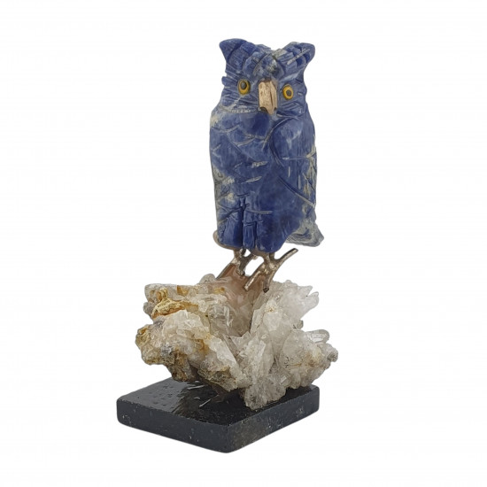 Owl bird minerals