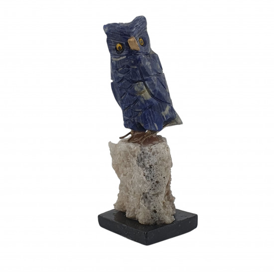 Owl bird minerals