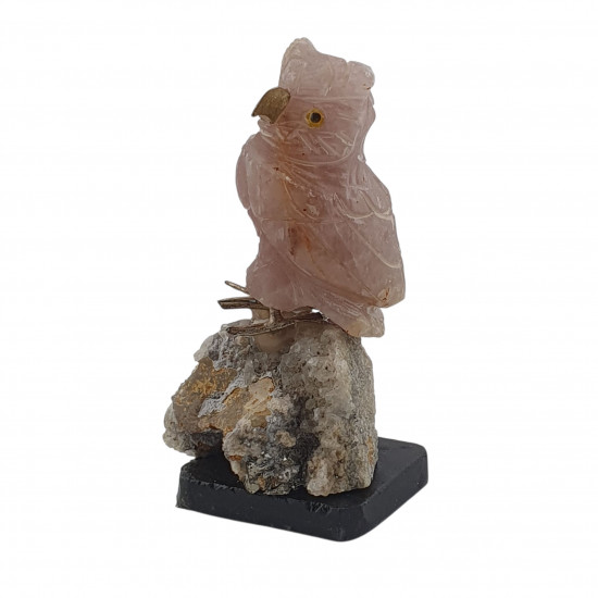 Owl bird minerals