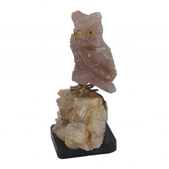 Owl bird minerals