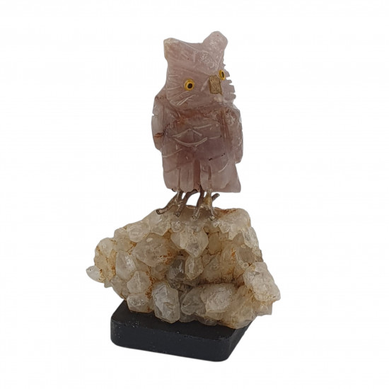 Owl bird minerals