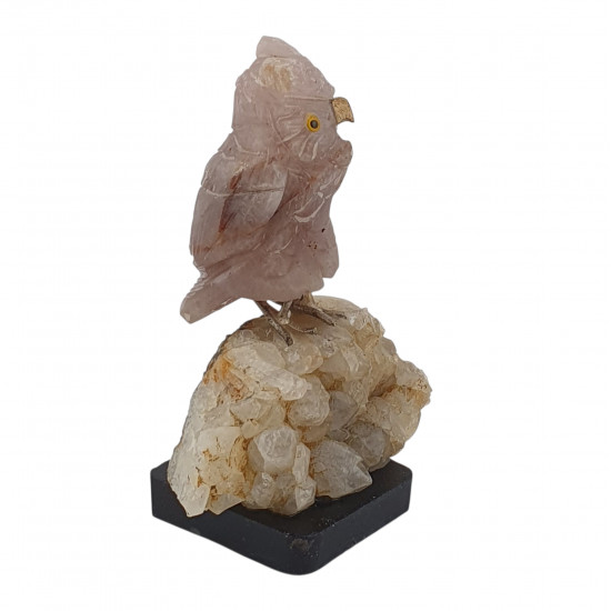 Owl bird minerals