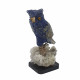 Owl bird minerals