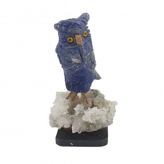 Owl bird minerals
