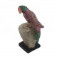 Parrot bird minerals