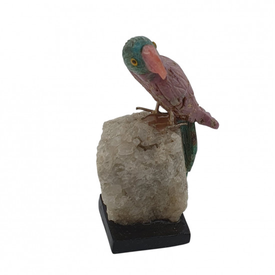 Parrot bird minerals
