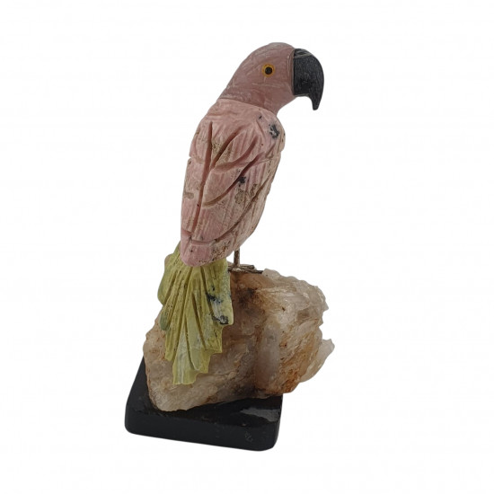 Parrot bird minerals