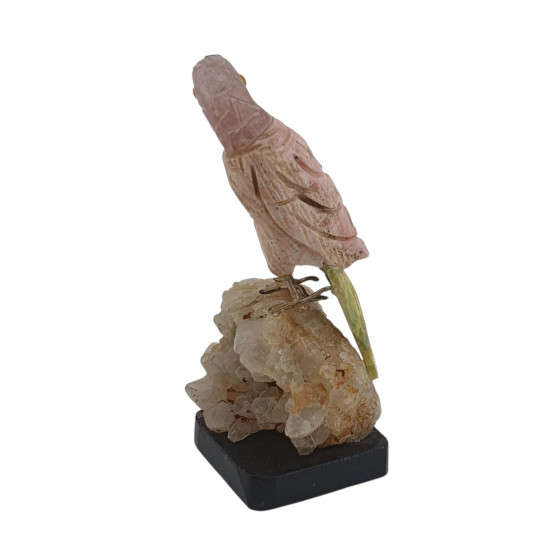 Parrot bird minerals