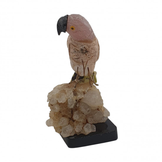 Parrot bird minerals
