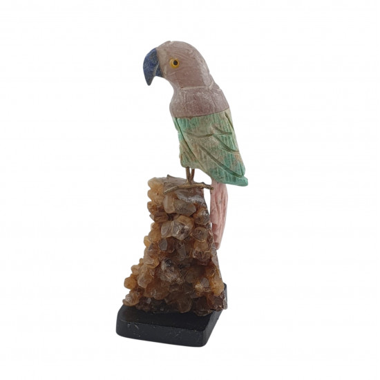 Parrot bird minerals