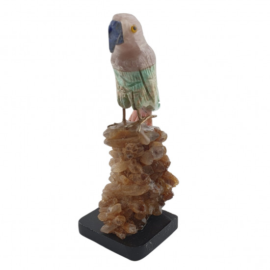 Parrot bird minerals