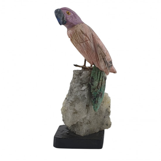 Parrot bird minerals