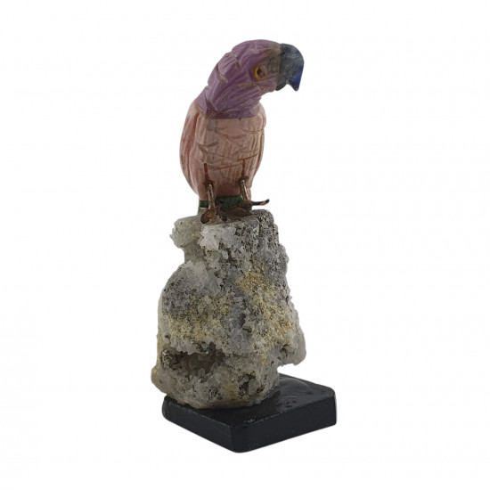 Parrot bird minerals