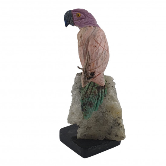 Parrot bird minerals