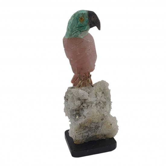 Parrot bird minerals