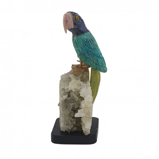 Parrot bird minerals